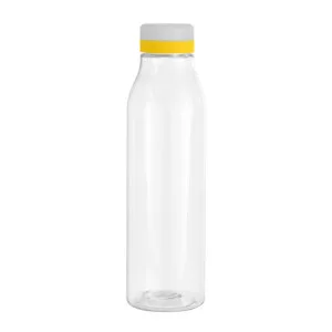 Botella Andina frost