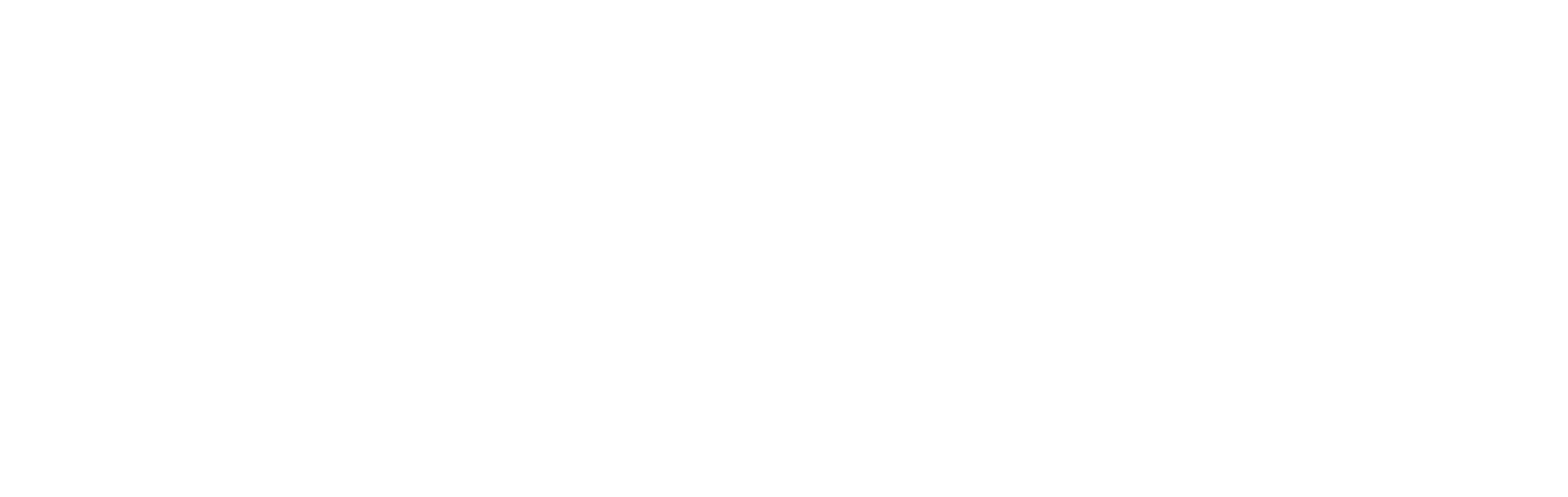 Logo Merchi Footer